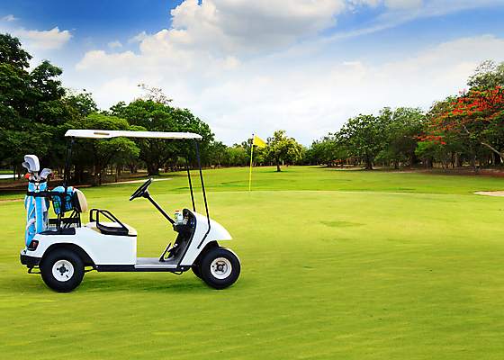 포토 JPG 해외이미지 나무 라이프스타일 스포츠 밭 골프 자연 놀이 하늘 휴가 풍경 잔디 사람없음 야외 초록색 여름 파란색 태양 경쟁 게임 깃발 구멍 강의 은퇴 클럽 내추럴 골프티 플레이어 해외202004 해외포토 자연요소 식물 계절 컬러 컨셉 농업 골프용품 생활 구기 생태계 파일형식 이미지허브