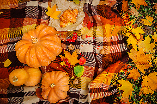 포토 JPG 해외이미지 계절 열매 커피 컨셉 잎 데이트 호박 따뜻함 사람없음 야외 컵 컬러풀 소풍 노란색 가을 담요 체크무늬 호두 정물화 해외202004 해외포토 식물 식기 음료 컬러 무늬 채소 야외활동 견과류 그림 파일형식 이미지허브