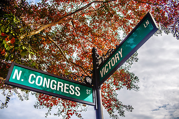 포토 JPG 해외이미지 나무 식물 계절 시계 잎 건축양식 거리 항해 사람없음 건물 초록색 탑 가을 도시 역사 도심 방향 메인 사인 봉 네비게이션 필승 해외202004 해외포토 건축물 건축 컬러 배_교통 우승 파일형식 이미지허브