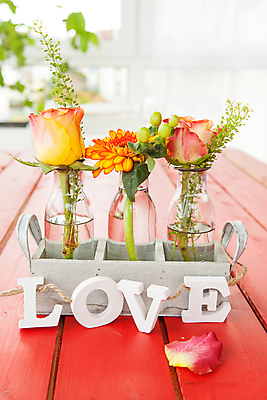 포토 JPG 해외이미지 꽃 분홍색 꽃무늬 발렌타인데이 선물 사랑 사람없음 목재 장식 빨간색 세로 컬러풀 장미 수확 벚꽃 시골 신선 생일 개화 감사 데이지 거베라 카피스페이스 해외202004 해외포토 나무 식물 기념일 감정 컬러 무늬 농업 재료 데이이벤트 공백 파일형식 이미지허브