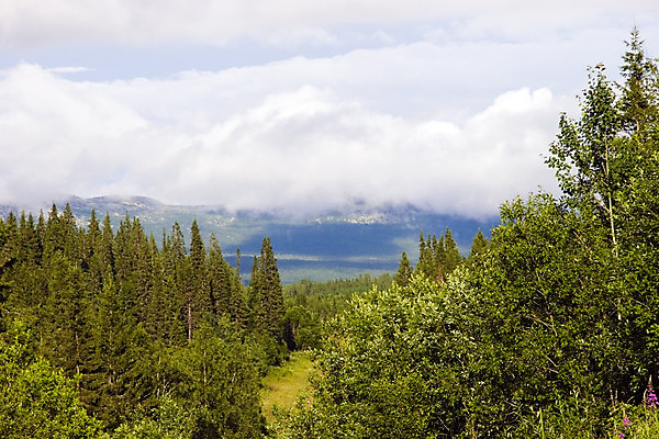 포토 JPG 해외이미지 구름 계절 여행 자연 하늘 사람없음 야외 가로 여름 파란색 빛 환경 침묵 자유 정상 천국 수평선 해외202004 해외포토 자연요소 컬러 컨셉 소리 생태계 파일형식 이미지허브