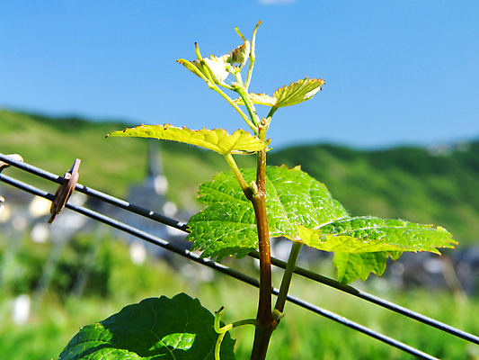 포토 JPG 해외이미지 사람없음 해외202004 해외포토 파일형식 이미지허브
