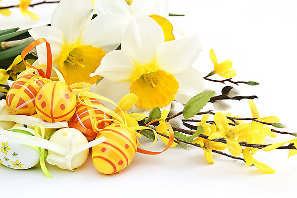 포토 JPG 해외이미지 전통 계절 꽃 행복 종교 꽃다발 백그라운드 꽃무늬 자연 휴가 부활절 선물 사람없음 장식 초록색 컬러풀 노란색 정원 계란 축제 고양이 놀람 봄 흰색 나뭇가지 축하 신용카드 그리기 황금 달콤 4월 버드나무 심볼 수선화 내추럴 고립 해외202004 해외포토 나무 식물 기념일 감정 컬러 컨셉 무늬 포유류 모션 표정 금융 반려동물 알 날짜 맛 생태계 파일형식 이미지허브