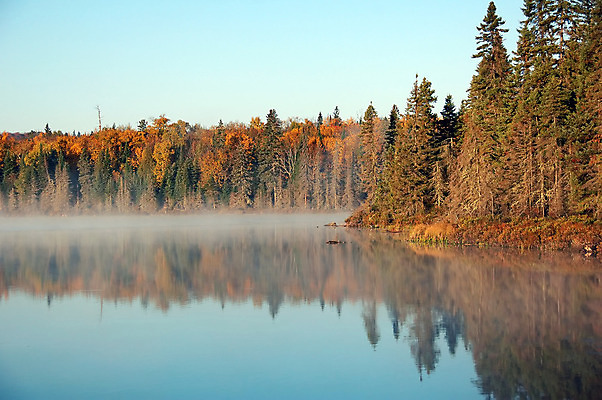 포토 JPG 해외이미지 나무 계절 공원 호수 잎 자연 아침 풍경 사람없음 야외 초록색 물 빛 노란색 일출 침묵 안개 가을 시골 숲 장면 뿌연 해외202004 해외포토 주간 자연요소 식물 공공시설 컬러 날씨 노을 소리 생태계 파일형식 이미지허브