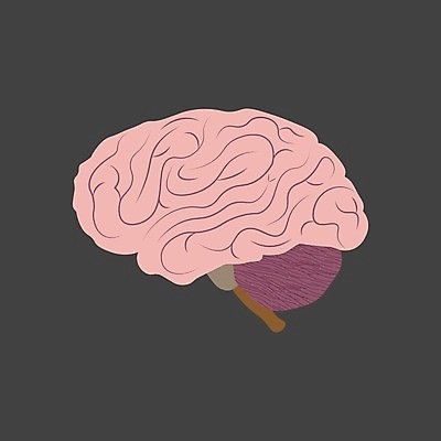 EPS 해외이미지 디자인 교육 실루엣 선 과학 백그라운드 컨셉 일러스트 해부 추상 아이디어 건강 창조 사람 그래픽 스터디 약 머리 마음 오르간 플랫 불안 심볼 사인 뇌 생물학 시스템 고립 염증 종양 지능 타격 편두통 해외202004 해외일러스트 감정 무늬 의학 모션 촬영기법 신체부위 학습 고통 건반악기 질병 파일형식 벡터 이미지허브