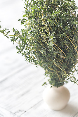 포토 JPG 해외이미지 식물 계절 음식 꽃다발 백그라운드 잎 농업 재료 건강 요리 사람없음 목재 초록색 꽃병 이탈리아 수확 시골 신선 맛 냄비 정상 다발 지중해 허브 유기농 날것 향 내추럴 고립 바이오 백리향 해외202004 해외포토 나무 웰빙 꽃 유럽 산업 바다 컬러 컨셉 솥 파일형식 이미지허브