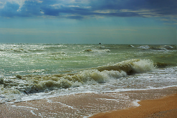 포토 JPG 해외이미지 구름 파도 바다 여행 백그라운드 컨셉 모션 자연 조류 하늘 바람 날씨 풍경 해변 사람없음 야외 물 여름 파란색 어둠 힘 회색 젖음 바위 신선 서핑 위험 큼 오브젝트 분무기 폭풍 내추럴 격파 재앙 해외202004 해외포토 자연요소 동물 계절 컬러 돌_바위 수상스포츠 크기 생태계 파일형식 이미지허브