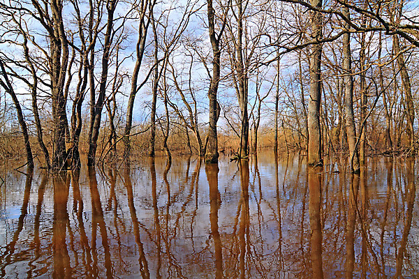 포토 JPG 해외이미지 나무 계절 공원 실루엣 호수 파도 오렌지 자연 하늘 기술 풍경 사람없음 야외 물 파란색 강 햇빛 반사 갈색 평화 수영 침묵 봄 거울 나뭇가지 오픈 화려 황무지 숲 홍수 싱크대 질감 러시아 마법 엘리먼트 재앙 수평선 해외202004 해외포토 자연요소 식물 공공시설 유럽 바다 컬러 컨셉 과일 촬영기법 태양 소리 수상스포츠 자연재해 개수대 생태계 파일형식 이미지허브