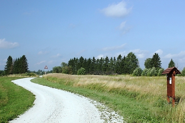 포토 JPG 해외이미지 도로 아침 사람없음 뜨거움 해외202004 해외포토 주간 길 교통시설 파일형식 이미지허브