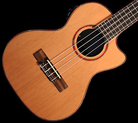 포토 JPG 해외이미지 줄 음악 놀이 사람없음 음악가 기구 뮤지컬 플레이어 해외202004 해외포토 직업 문화예술 파일형식 이미지허브