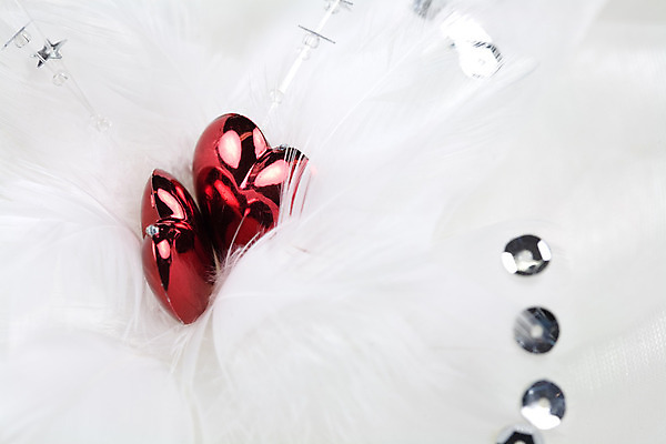 포토 JPG 해외이미지 휴가 발렌타인데이 사랑 사람없음 빨간색 하트 깃털 취급주의 해외202004 해외포토 모양 감정 컬러 데이이벤트 경고 파일형식 이미지허브