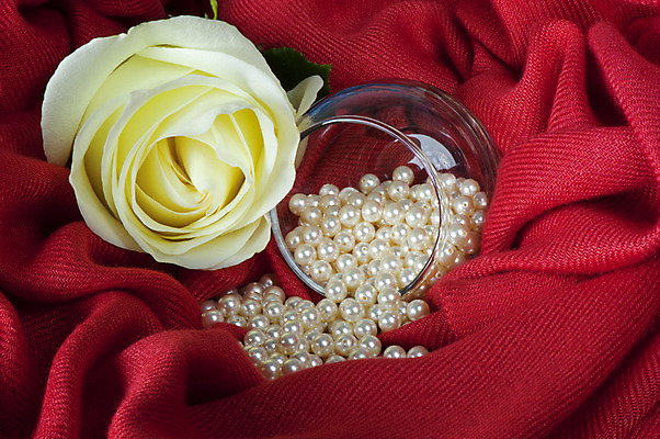 포토 JPG 해외이미지 꽃 결혼 선물 사람없음 장미 바위 굴 흰색 보석 해외202004 해외포토 식물 컬러 어패류 이벤트 돌_바위 광석 파일형식 이미지허브