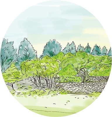 EPS 해외이미지 나무 공원 잎 일러스트 자연 수채화 잉크 풍경 그래픽 초록색 바위 소나무 관목 그림 장면 손그림 핸드메이드 콘월 해외202004 해외일러스트 식물 공공시설 컬러 돌_바위 생태계 파일형식 벡터 이미지허브