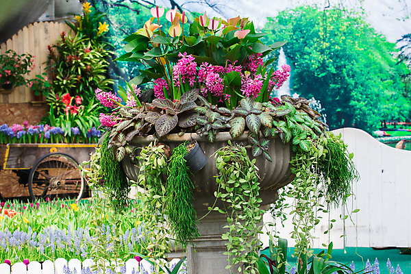 포토 JPG 해외이미지 디자인 외관 꽃 자연 주택 풍경 잔디 사람없음 야외 장식 초록색 여름 평화 정원 침묵 매력적 벚꽃 바위 백합 원예 조경 화단 내추럴 영원 원예사 해외202004 해외포토 식물 직업 계절 컬러 컨셉 취미 건물 소리 돌_바위 생태계 파일형식 이미지허브