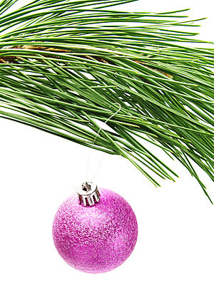 포토 JPG 해외이미지 전통 전통문화 분홍색 크리스마스장식 크리스마스 겨울 휴가 매달리기 창조 사람없음 장식 초록색 빛 컬러풀 크리스마스트리 지구본 보라색 축제 장식볼 흰색 나뭇가지 축하 소나무 원형 오브젝트 만족 흰배경 노엘 크리스마스이브 해외202004 해외포토 도형 나무 계절 기념일 감정 문화 컬러 백그라운드 컨셉 모션 파일형식 이미지허브