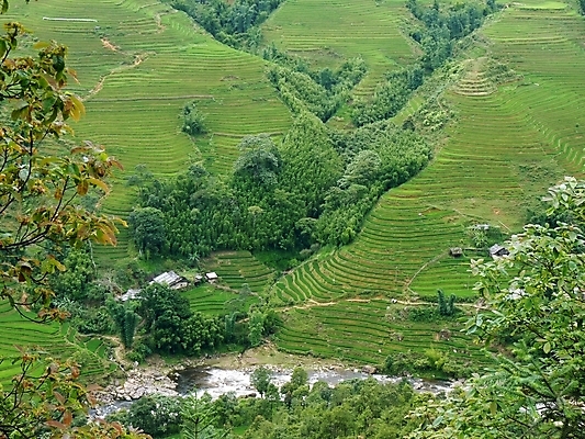 포토 JPG 해외이미지 식물 전통 아시아 문화 음식 조각 여행 농업 자연 밥 산 주택 동양인 풍경 사람없음 야외 목재 초록색 물 강 컬러풀 농장 마을 환경 계곡 수확 시골 땅 대나무 언덕 베트남 계단식 논밭 밭일 생태학 인도차이나반도 해외202004 해외포토 자연요소 나무 교육 나라 산업 컬러 밭 재료 논 인종 건물 동남아시아 생태계 파일형식 이미지허브