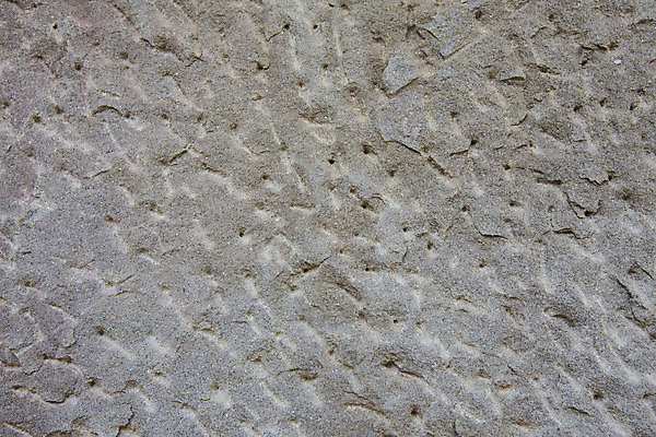 포토 JPG 해외이미지 디자인 꽃 백그라운드 잎 꽃무늬 패턴 추상 창조 사람없음 컴퓨터그래픽 장식 소용돌이 나뭇가지 화려 우아함 은색 해외202004 해외포토 나무 식물 컬러 컨셉 무늬 그래픽 회오리 파일형식 이미지허브