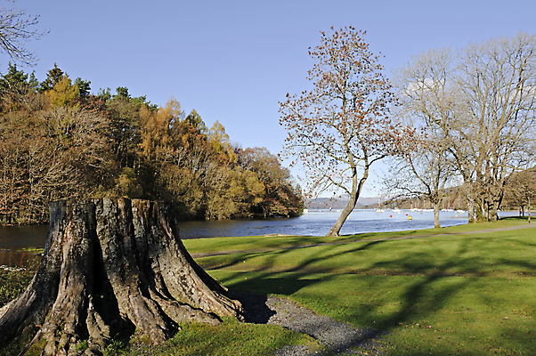 포토 JPG 해외이미지 나무 호수 자연 하늘 영국 잉글랜드 산 풍경 사람없음 초록색 파란색 가을 시골 보트 컴브리아주 해외202004 해외포토 식물 계절 유럽 컬러 배_교통 생태계 파일형식 이미지허브