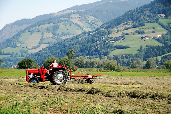 포토 JPG 해외이미지 식물 계절 산업 지구 밭 농업 자연 노동자 산 옥수수 풍경 사람없음 야외 여름 농작물 농장 농경지 기계 흙 장비 수확 시골 업무 오스트리아 농부 땅 알프스 트랙터 밭일 쟁기 세련 해외202004 해외포토 직업 유럽 곡류 작업 농기계 생태계 특수차량 파일형식 이미지허브