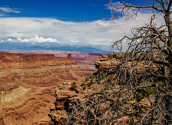 포토 JPG 해외이미지 여행 창문 자연 휴가 파노라마 풍경 사람없음 빨간색 여름 골짜기 계곡 미국 사막 사암 향나무 해외202004 해외포토 나무 계절 컬러 북아메리카 촬영기법 돌_바위 생태계 파일형식 이미지허브