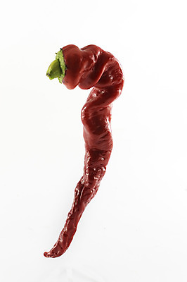 포토 JPG 해외이미지 1 음식 백그라운드 농업 다이어트 채소 과일 자연 파프리카 건강 사람없음 빨간색 초록색 종 흰색 신선 달콤 맛 먹기 싱글 유기농 날것 후추 고립 해외202004 해외포토 웰빙 산업 컬러 컨셉 모션 향신료 생태계 파일형식 이미지허브