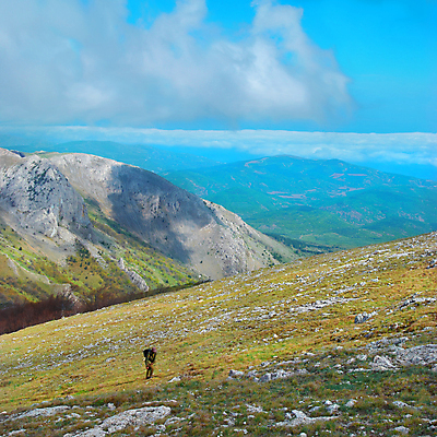 포토 JPG 해외이미지 나무 구름 계절 백그라운드 밭 자연 하늘 날씨 산 한명 사람 풍경 잔디 야외 초록색 여름 파란색 햇빛 태양 환경 침묵 봄 자유 흰색 시골 땅 언덕 장면 평야 하이커 수평선 해외202004 해외포토 자연요소 식물 1 컬러 여행 컨셉 농업 소리 생태계 파일형식 이미지허브