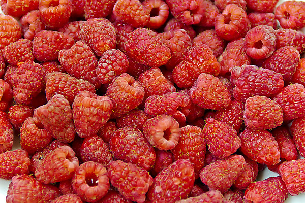 포토 JPG 해외이미지 열매 음식 건강 사람없음 빨간색 신선 달콤 유기농 날것 산딸기 해외202004 해외포토 식물 웰빙 컬러 과일 맛 파일형식 이미지허브