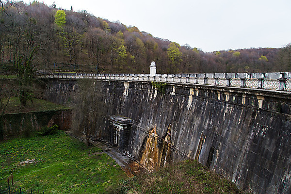 포토 JPG 해외이미지 나무 자연 사람없음 물 환경 가을 나뭇가지 저수지 연못 액체 숲 댐 내추럴 해외202004 해외포토 자연요소 식물 계절 공공시설 생태계 파일형식 이미지허브
