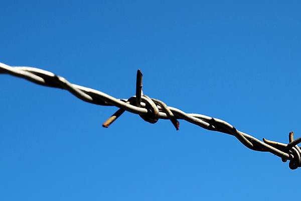 포토 JPG 해외이미지 하늘 사람없음 파란색 울타리 금속 경계선 보호 위험 보안 날카로움 철사 철조망 철강 해외202004 해외포토 선 컬러 컨셉 재질 안전 담장 경계 파일형식 이미지허브