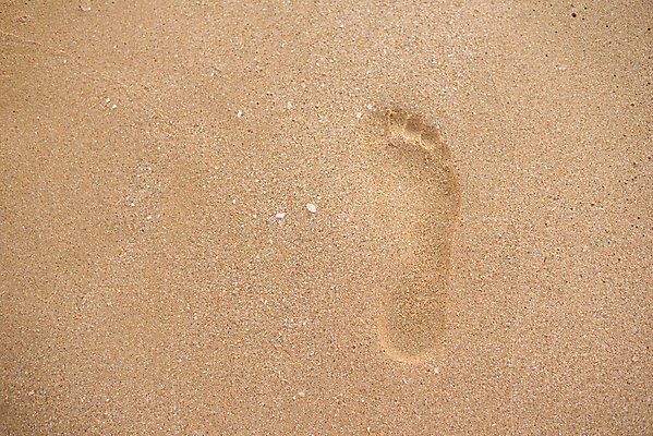 포토 JPG 해외이미지 길 어린이 모래 파도 바다 여행 백그라운드 자국 맨발 자연 휴가 휴식 풍경 해변 사람없음 야외 물 여름 모래사장 태양 여행객 평화 맑음 산책 자유 인쇄 발자국 흔적 검색 싱글 단계 내추럴 방법 선로 양발 각인 해외202004 해외포토 자연요소 계절 컨셉 발 날씨 사람 생태계 파일형식 이미지허브