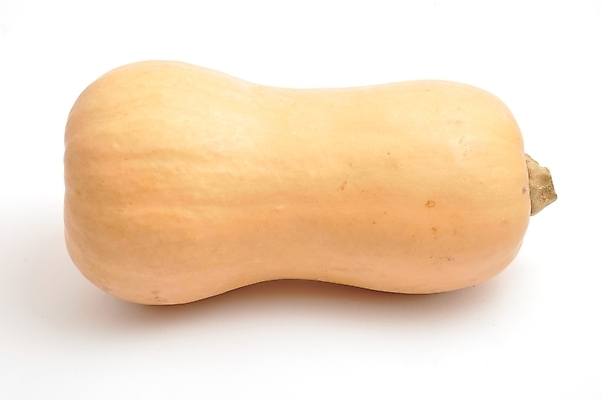 포토 JPG 해외이미지 음식 채소 호박 사람없음 신선 달콤 날것 스쿼시 정물화 해외202004 해외포토 스포츠 구기 맛 그림 파일형식 이미지허브