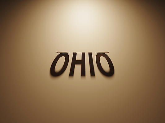 포토 JPG 해외이미지 일러스트 사람없음 3D 미국 투표 선거 민주주의 법 최초 공화국 대통령 정책 정치 헌법 해외202004 해외포토 나라 북아메리카 디지털합성 파일형식 이미지허브