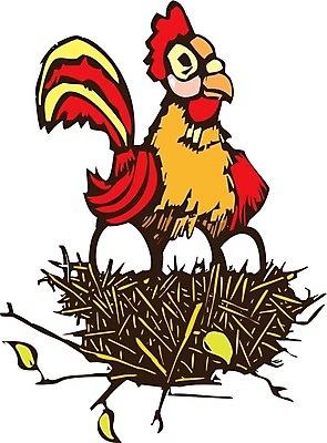 EPS 해외이미지 음식 일러스트 자연 조류 환경 계란 치킨 봄 성장 둥지 목판화 해외202004 해외일러스트 동물 계절 알 생태계 닭고기요리 파일형식 벡터 이미지허브