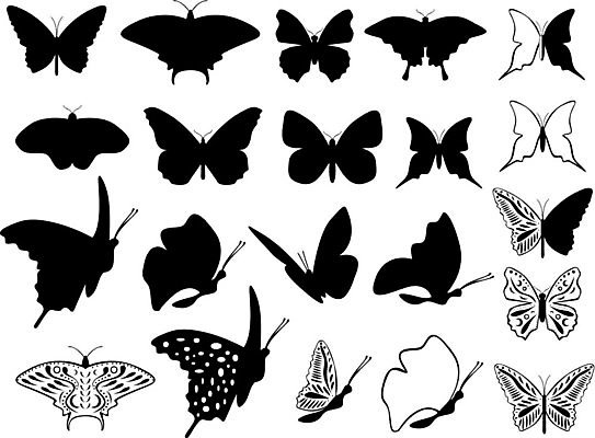 EPS 해외이미지 동물 디자인 실루엣 야생동물 나비 곤충 패턴 일러스트 자연 날리기 추상 흑백 미술 장식 세트 검은색 봄 흰색 우아함 작음 큼 수집 문신 심볼 사인 그림 공상 모음 부족 내추럴 고립 해외202004 해외일러스트 계절 컬러 컨셉 무늬 모션 문화예술 촬영기법 한글 크기 생태계 파일형식 벡터 이미지허브