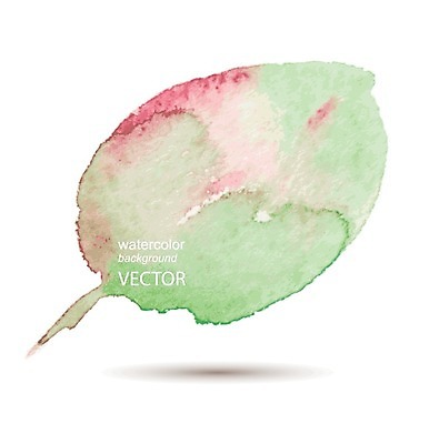 EPS 해외이미지 식물 잎 일러스트 탁자 붓터치 수채화 사람 사람없음 액체 그림 번짐 효과 해외202004 해외일러스트 가구 파일형식 벡터 이미지허브