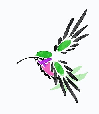 EPS 해외이미지 식물 동물 꽃 야생동물 날개 일러스트 조류 붓터치 수채화 종류 사람없음 미국 그림 종이접기 번짐 꿀 강렬 동물상 벌새 해외202004 해외일러스트 종이 북아메리카 조형물 접기 파일형식 벡터 효과 이미지허브