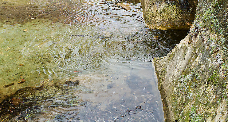 포토 JPG 해외이미지 산업 백그라운드 건축양식 사람없음 건물 물 파란색 강 계곡 검은색 힘 장비 에너지 역사 콘센트 플러그 빨래 연결 싱크대 분수 아치 운하 포트 천연기념물 로마인 수도교 옛날 채널 현재 공급 해외202004 해외포토 자연요소 건축물 건축 컬러 컨셉 가사 인종 다리_건축물 개수대 파일형식 이미지허브