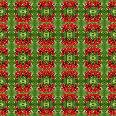 포토 JPG 해외이미지 식물 꽃 분홍색 백그라운드 잎 꽃무늬 패턴 자연 벽지 추상 사람없음 장식 빨간색 초록색 컬러풀 환경 정원 봄 벚꽃 나뭇가지 신선 즐거움 해외202004 해외포토 나무 계절 감정 컬러 무늬 생태계 파일형식 이미지허브