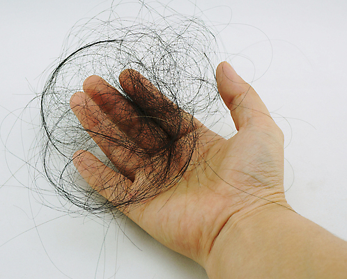 포토 JPG 해외이미지 손 들기 신체부위 뷰티 머리카락 머리빗 흰배경 두피케어 탈모 탈모클리닉 해외202004 탈모예방 해외포토 백그라운드 모션 사람 머리 흰색 미용용품 예방 클리닉 헤어관리 증상 파일형식 이미지허브