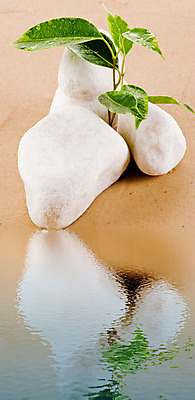 포토 JPG 해외이미지 식물 웰빙 아시아 선 모래 파도 백그라운드 잎 불교 자연 표면 추상 휴식 프레임 건강 동양인 사람없음 야외 치료 초록색 물 여름 반사 쌓기 평화 환경 탑 검은색 스파 화목 바위 신선 숲 순수 묘사 명상 에코 피라미드 부드러움 동쪽 테라피 내추럴 생태학 엘리먼트 해외202004 해외포토 자연요소 건축물 계절 교육 나라 종교 바다 컬러 컨셉 무늬 의학 모션 인종 뷰티 돌_바위 감각 방향 생태계 랜드마크 파일형식 이미지허브