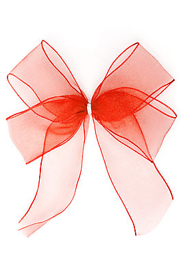 포토 JPG 해외이미지 리본 백그라운드 크리스마스 포장 휴가 발렌타인데이 선물 이벤트 사람없음 장식 빨간색 축제 침묵 놀람 덮개 흰색 축하 생일 닫기 자르기 묶기 상패 심볼 활 매듭 패키지 고립 포장소품 해외202004 해외포토 기념일 감정 컬러 컨셉 모션 데이이벤트 표정 소리 뚜껑 상_우승 오브젝트 포장재료 파일형식 이미지허브