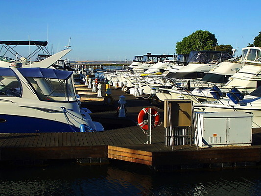 포토 JPG 해외이미지 나무 식물 꽃 호수 파도 바다 요트 자연 조류 하늘 항해 사람없음 야외 물 여름 강 맑음 젖음 만 보트 서핑 그룹 주차 암초 닻 뱃놀이 해외202004 해외포토 자연요소 동물 계절 배_교통 날씨 전통놀이 수상스포츠 생태계 파일형식 이미지허브