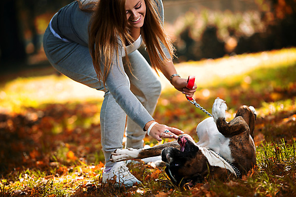 포토 JPG 해외이미지 동물 백인 한마리 라이프스타일 응시 여자 남자 행복 포옹 청소년 휴식 함께함 사랑 한명 미소 사람 앉기 20대 성인 야외 가로 초록색 반려동물 가축 우정 가을 잡기 개 보호 숲 해외202004 해외포토 서양인 1 시선 계절 감정 컬러 컨셉 포유류 안기 모션 표정 청년 생활 친구 파일형식 이미지허브