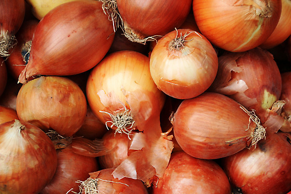 포토 JPG 해외이미지 양파 근접촬영 사람없음 주황색 가득함 해외202004 해외포토 뷰포인트 컬러 채소 파일형식 이미지허브