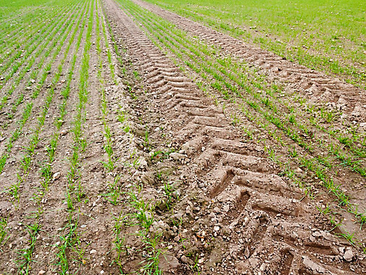포토 JPG 해외이미지 식물 계절 도로 지구 여행 밭 농업 곡선 자국 자동차 자연 하늘 풍경 사람없음 야외 농장 경작 봄 시골 거친 땅 만취 언덕 질감 타이어 먼지 장면 진흙 트랙터 내추럴 굴곡 땅바닥 방법 밭일 선로 어려움 오프로드 쟁기 해외202004 해외포토 산업 길 선 육상교통 교통시설 바닥 농사 농기계 생태계 특수차량 술취함 파일형식 이미지허브