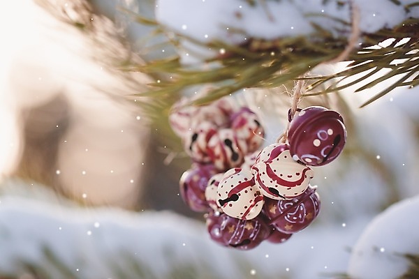 포토 JPG 해외이미지 나무 식물 디자인 계절 백그라운드 잎 크리스마스 겨울 자연 휴가 새로움 미술 사람없음 장식 파란색 컬러풀 장난감 냉동 기쁨 추위 수확 종 흰색 나뭇가지 축하 인사 소나무 그룹 숲 12월 오브젝트 복고 전나무 원뿔 노엘 핸드메이드 해외202004 해외포토 도형 기념일 감정 컬러 컨셉 농업 문화예술 예절 날짜 생태계 파일형식 이미지허브