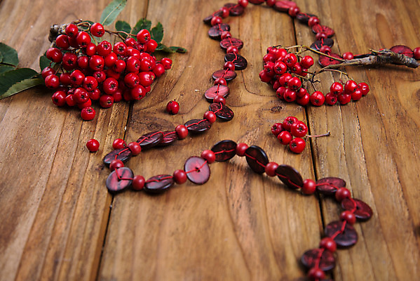 포토 JPG 해외이미지 식물 계절 열매 백그라운드 잎 과일 자연 탁자 사람없음 빨간색 가을 나뭇가지 다발 내추럴 해외202004 해외포토 나무 컬러 가구 생태계 파일형식 이미지허브