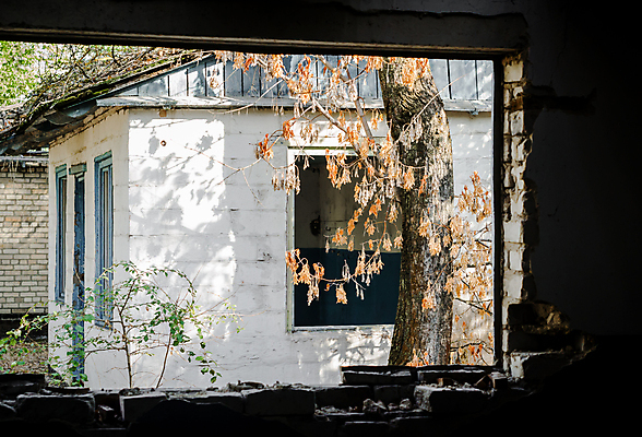 포토 JPG 해외이미지 나무 식물 벽 잎 창문 지붕 돌담 사람없음 문 마을 나뭇가지 시골 버리기 무인 옛날 해외202004 해외포토 모션 담장 돌_바위 파일형식 이미지허브