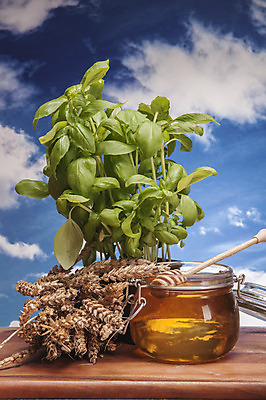 포토 JPG 해외이미지 식물 구름 전통 음식 빵 조각 백그라운드 다이어트 채소 과일 자연 탁자 하늘 아침 치즈 건조 파스타 건강 옥수수 씨앗 사람없음 목재 파란색 빛 갈색 주방 식사 빵집 맛 아침식사 상품 굽기 향수 준비 유기농 심플 밀가루 꿀 덩어리 작살 호밀 귀리 해외202004 해외포토 주간 자연요소 나무 웰빙 컬러 가구 컨셉 재료 유제품 곡류 서양음식 상점 화장품 가루 구이 생태계 파일형식 이미지허브