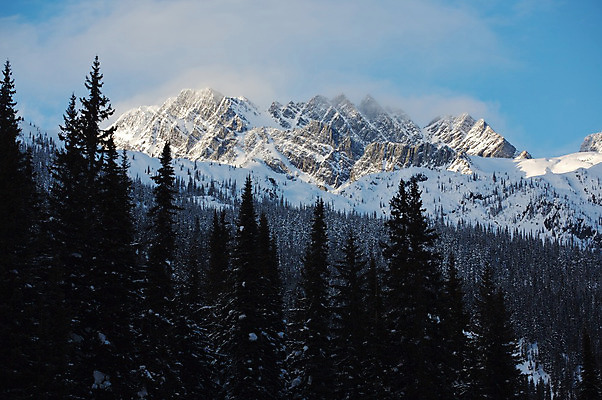 포토 JPG 해외이미지 나무 캐나다 겨울 산 사람없음 냉동 얼음 어둠 절벽 추위 황무지 정상 숲 암초 절정 가문비나무 해외202004 해외포토 자연요소 식물 계절 북아메리카 파일형식 이미지허브